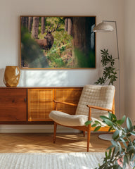 After Hover: Hirsch im Wald