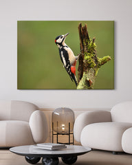 After Hover: Specht Fotografie in der grünen Natur