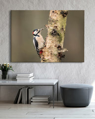 After Hover: Specht am Baum - Vogel Fotografie