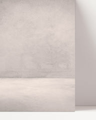 After Hover: Schwarze französische Bulldogge