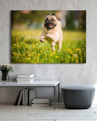 After Hover: Rennender Mops