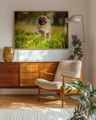 After Hover: Rennender Mops