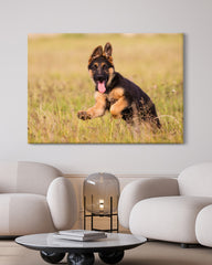 After Hover: Süßer Schäferhund-Welpe