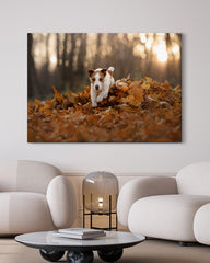 After Hover: Jack Russel Terrier im Laub