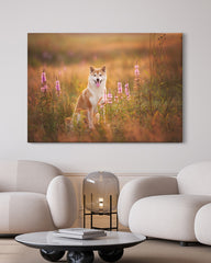 After Hover: Shiba Inu in Blumenwiese