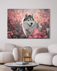 After Hover: Husky in Blumenwiese