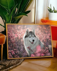After Hover: Husky in Blumenwiese