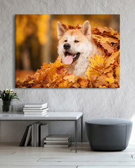 After Hover: Akita Inu im Laub