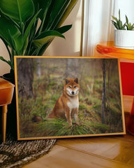 After Hover: Shiba Inu im Wald