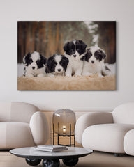 After Hover: Süße Hundewelpen