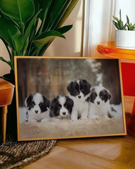 After Hover: Süße Hundewelpen