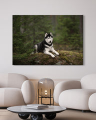 After Hover: Husky im Wald