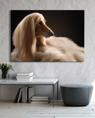 After Hover: Eleganter Afghanen-Windhund