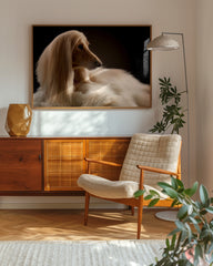 After Hover: Eleganter Afghanen-Windhund