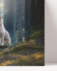 After Hover: Husky im Wald