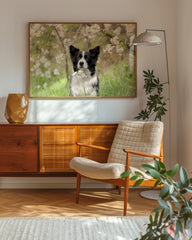 After Hover: Süßer Hund in Blütenlandschaft