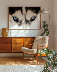 After Hover: Blaue Husky-Augen