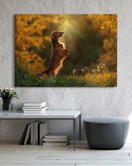 After Hover: Dackel im Wald