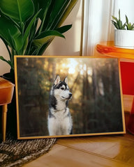 After Hover: Husky im Wald