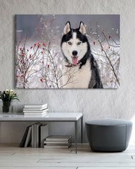 After Hover: Husky im Winter