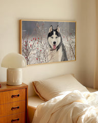 After Hover: Husky im Winter