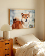 After Hover: Shiba Inu