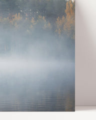 After Hover: Hunde am See