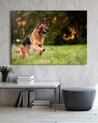 After Hover: Rennender Schäferhund