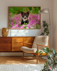 After Hover: Katzen-Baby in Blumenwiese