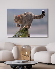 After Hover: Wildkatze