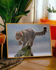 After Hover: Wildkatze