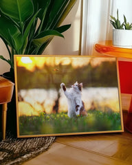 After Hover: Katze mit Schmetterling