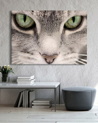 After Hover: Katzen-Augen