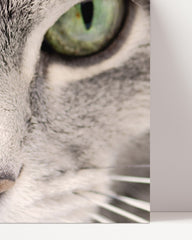 After Hover: Katzen-Augen