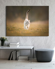 After Hover: Katze in der Natur