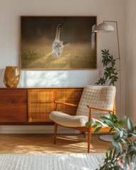 After Hover: Katze in der Natur