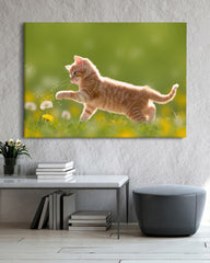 After Hover: Süßes Katzen-Baby