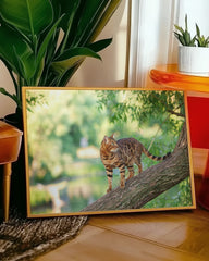 After Hover: Katze auf Baum