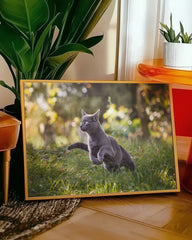 After Hover: Rennende Katze