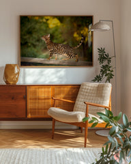 After Hover: Elegante Katze