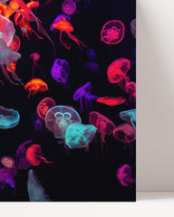 After Hover: Bunte Quallen