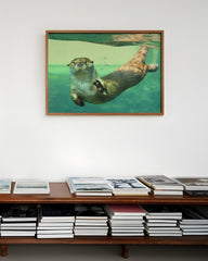 After Hover: Tauchender Seeotter