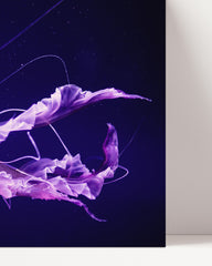 After Hover: Leuchtende Qualle