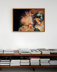 After Hover: Clownfische