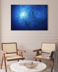 After Hover: Fischschwarm im Ozean