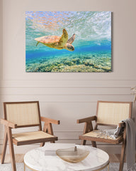 After Hover: Schwimmende Schildkröte im Korallenriff