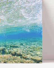 After Hover: Schwimmende Schildkröte im Korallenriff