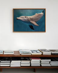 After Hover: Süßer Delfin