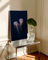 After Hover: Leuchtende Quallen mit langen Tentakeln - Unterwasser Tierwelt