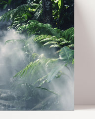 After Hover: Nebel im Regenwald